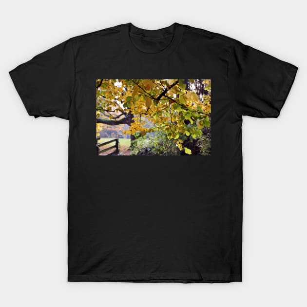 A walk in the country... T-Shirt by gracethescene